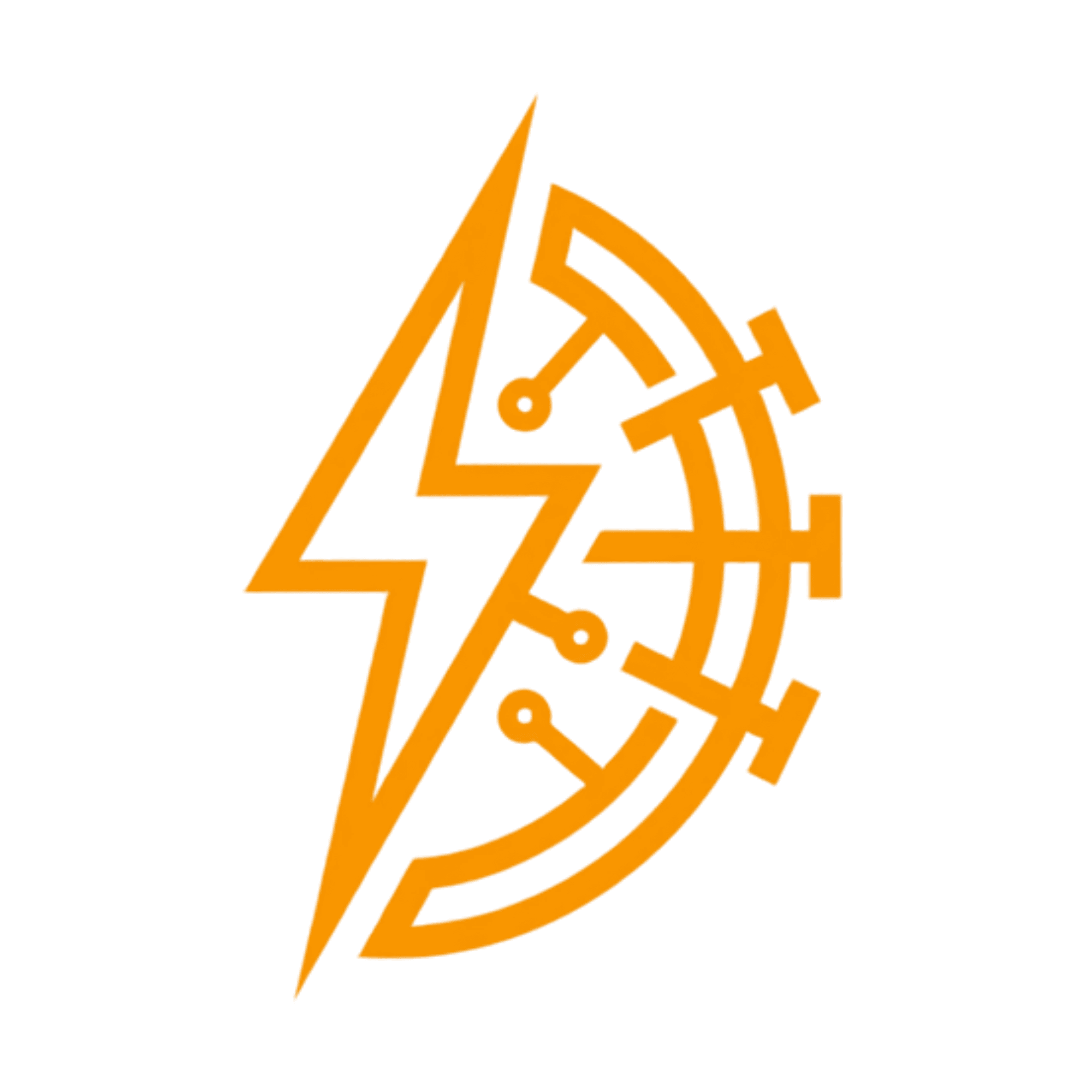 Vault Electronix
